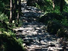 -阳台山自然风景区