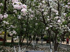 -元大都城垣遗址公园