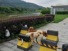 -艾米稻香小镇
