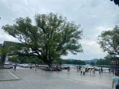 -西湖游船