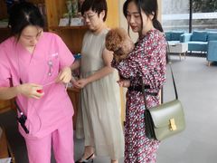 -爱妮康宠物医院·干细胞免疫细胞·肿瘤·心脏(张江店)