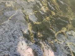 -龙达温泉生态城
