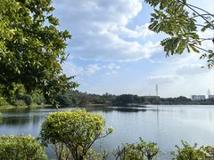 -广东花都湖国家湿地公园