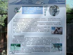 -青藏高原野生动物园