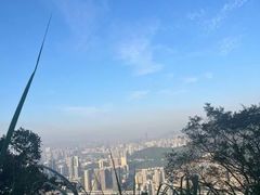 -小南山公园