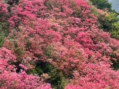 -木兰云雾山