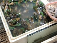 -珠光市场(文德南路)