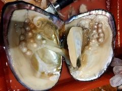 -十八字金·银饰·拼豆·开蚌DIY(魏公芳华里店)