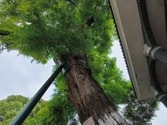 -遵义会议纪念馆