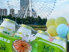 -南昌之星摩天轮