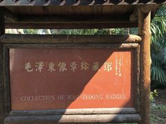 -枫泾古镇-人民公社旧址