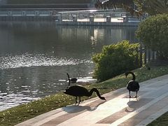 -厦门国家会计学院