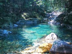 -祁门牯牛降观音堂风景区