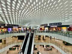 -陈鹏鹏潮汕菜(宝安机场T3航站楼店)