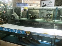 -绿雅居原生态农庄(小涌店)