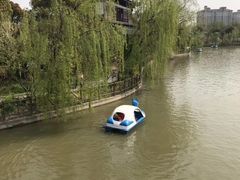 -南汇桃花村