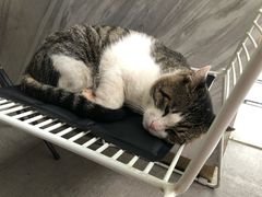 -UNI UNI(环亚凯瑟琳店)