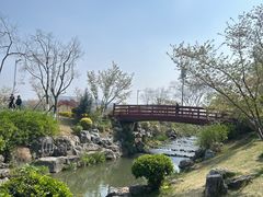 -羊山湖公园