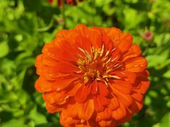 -杜氏旅游度假区