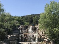 -北京西山国家森林公园