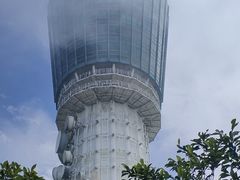 -梧桐山风景名胜区