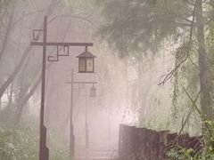 -东梓关景区村庄