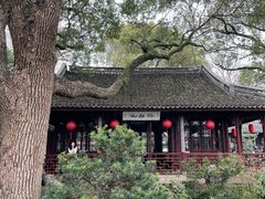 -上海醉白池公园