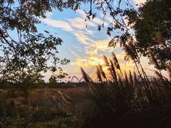 景点-艾溪湖湿地公园