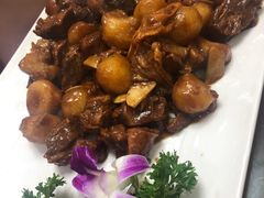 土豆牛肉-五谷丰香饺子馆(总店)