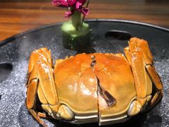 红酒醉熟蟹-马头巷·食景园(苏州总店)