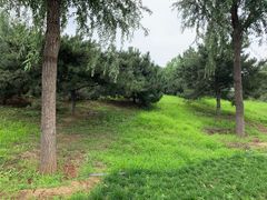 -东郊湿地公园