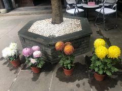 -我嘉书房(南翔名士居店)