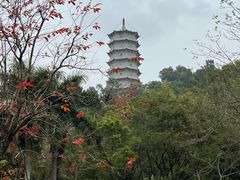 -深圳国际园林花卉博览园