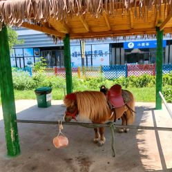 -萌宠亲子动物乐园(槐房万达店)