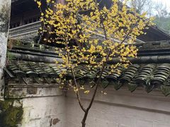 -宁波市保国寺古建筑博物馆