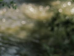 -艾溪湖湿地公园