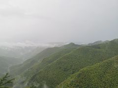 -四明山国家森林公园