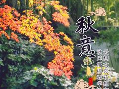 -秋霞圃