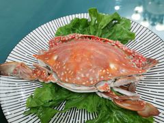 -百岁鱼·宁波海鲜火锅炒菜(梅园路店)