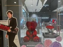 -ROSEONLY诺誓(国际广场购物中心店)