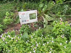 -广州神农草堂中医药博物馆