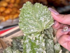 -路边边.炒菜烧烤.音乐餐厅(良乡长虹店)