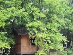 -千岛湖龙川湾
