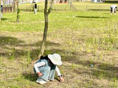 -黄陂区野村谷景区