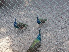 -南京金牛湖风景区