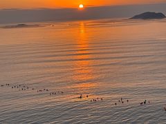 -北岐滩涂