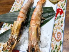 -森味薪火烧•烧鸟居酒屋•日本料理(望京店)