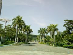 -松坪山公园