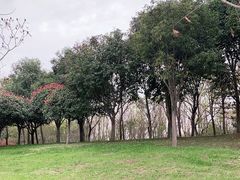 -洨河生态公园