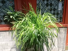 -阿西娅食府(中关村店)